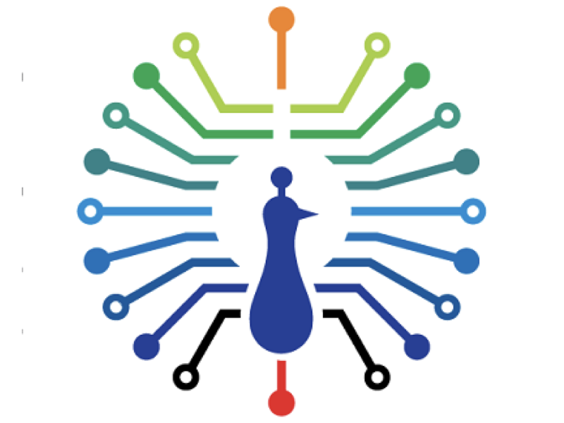 Pune Smart City Project - IoT Infrastructure and Smart Elements Implementation